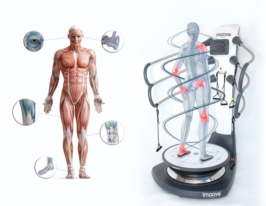 Imoove - Physiology of balance Imoove - Physiology of balance
